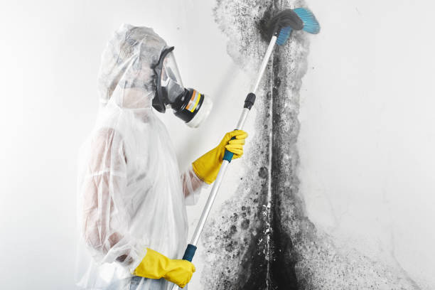 Best Post-Remediation Verification Testing  in Covgton, IN