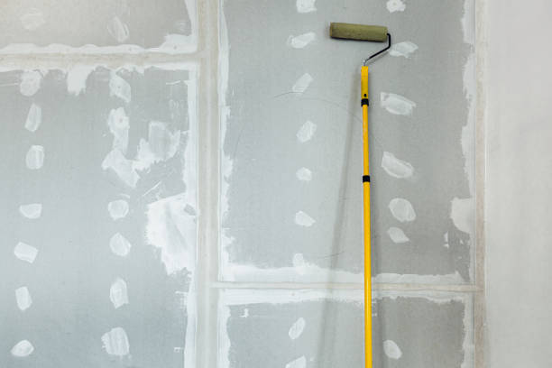 Best Water Damage & Mold Remediation  in Covgton, IN