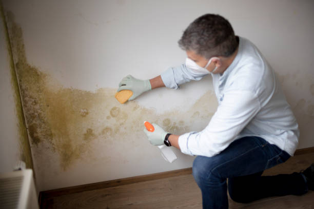 Best Water Damage & Mold Remediation  in Covgton, IN