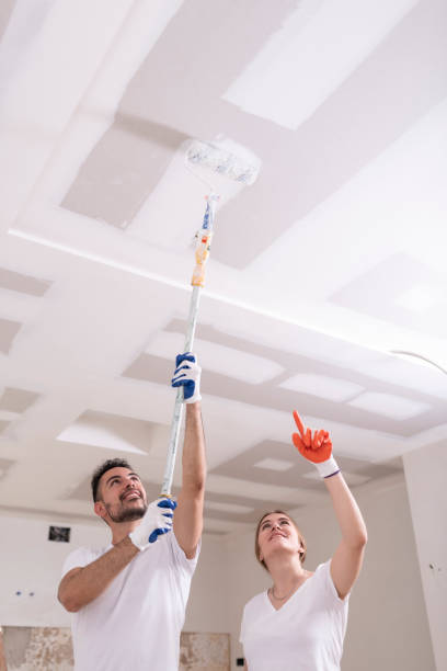 Trusted Covington, IN Mold Removal Experts