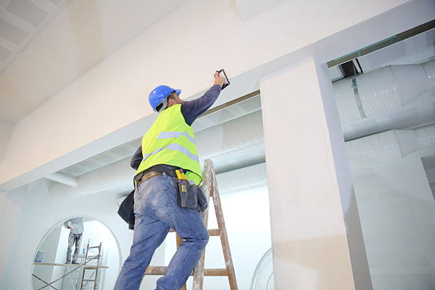 Best Attic Mold Removal  in Covgton, IN