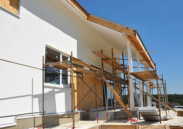 Mold Documentation for Insurance Claims in Covington, IN